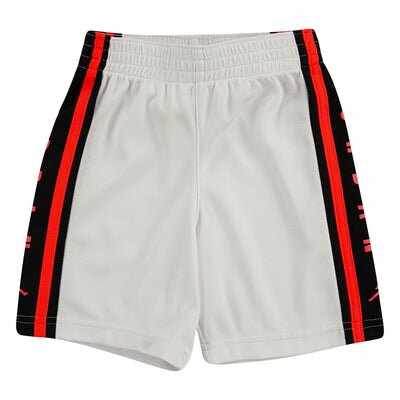 Jordan Dri-FIT Mesh Shorts Shorts Jordan 