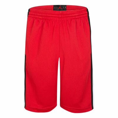 Jordan Dri-FIT Mesh Shorts Shorts Jordan 