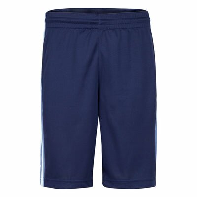 Jordan Dri-FIT Mesh Shorts Shorts Jordan 